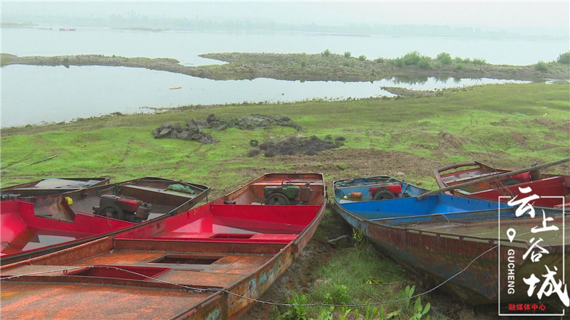 1594808017.jpeg W020200715361546914275.jpeg